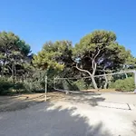 Superbe A 50 M De La Mer Apartment Hyères