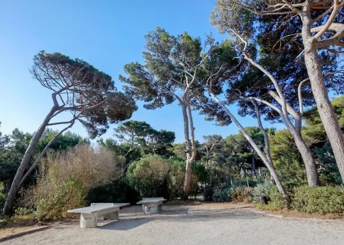 Lejlighed Superbe A 50 M De La Mer Hyères